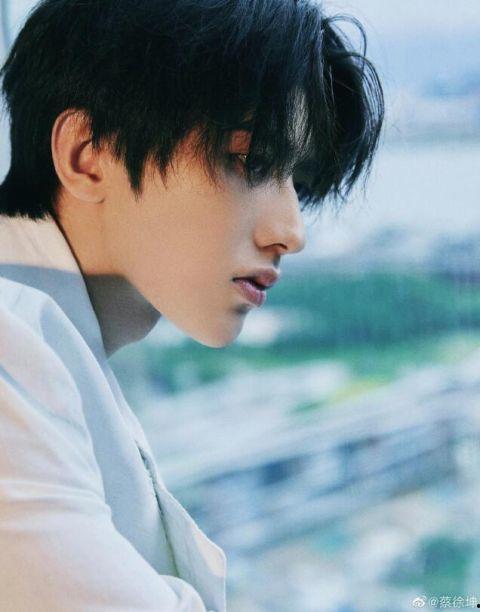 蔡徐坤公仔爆料视频,明星偶像的幕后故事  第1张